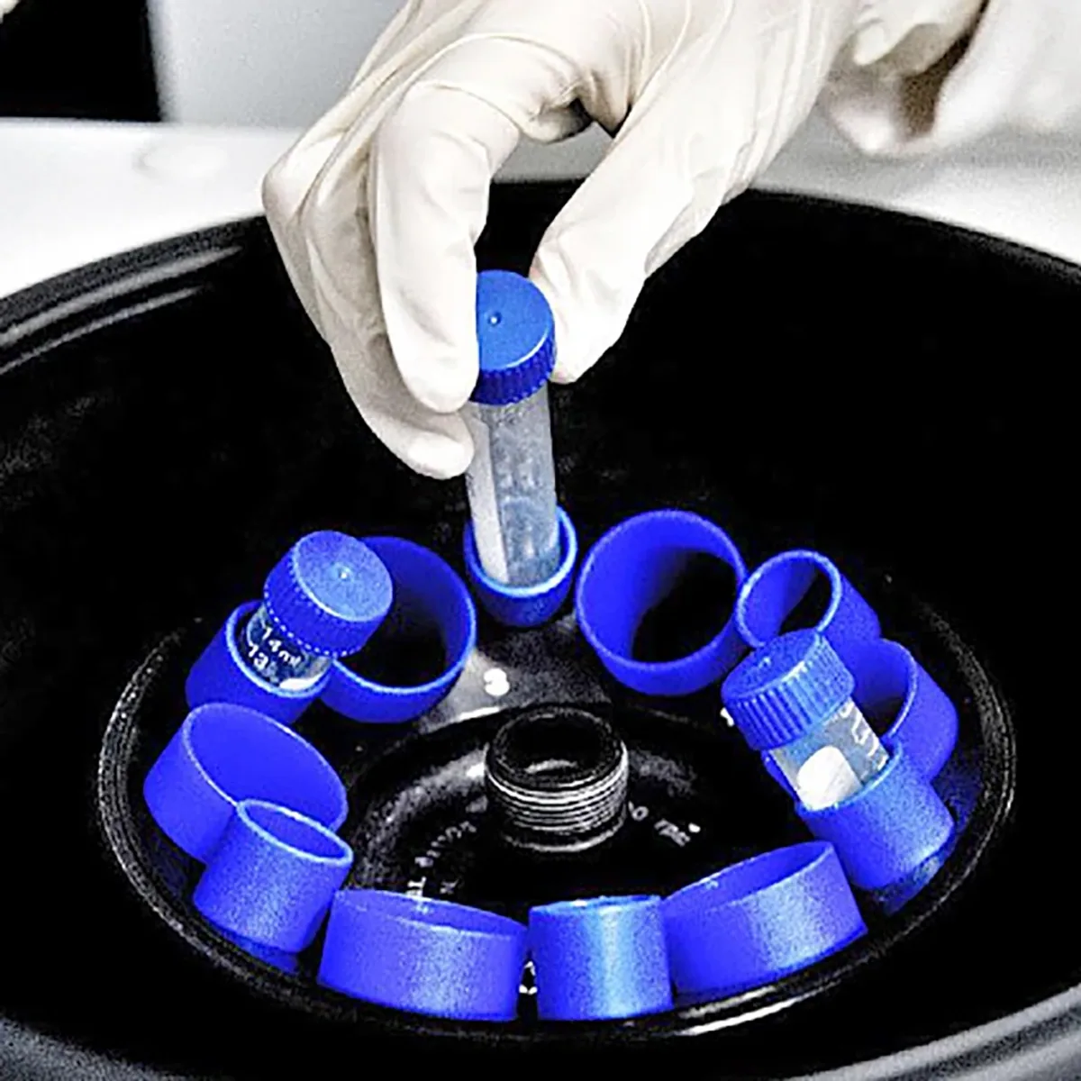 Centrifuge Tube 10ml 15ml 50ml | Screw Cap | Cone Bottom | 10 Pack - Thumbnail 2