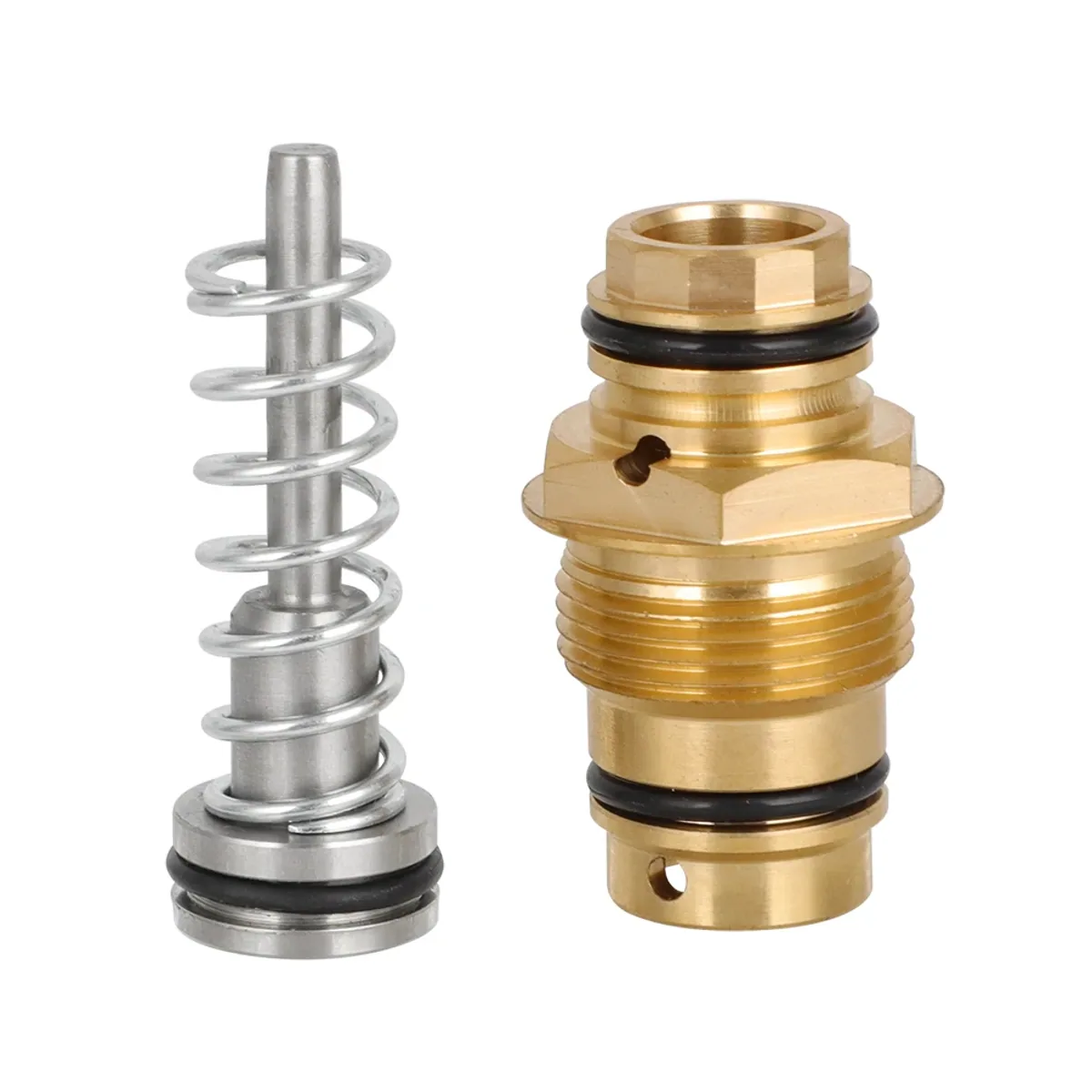 Brass valve insert with stainless steel spring and plunger lying on a plain white background