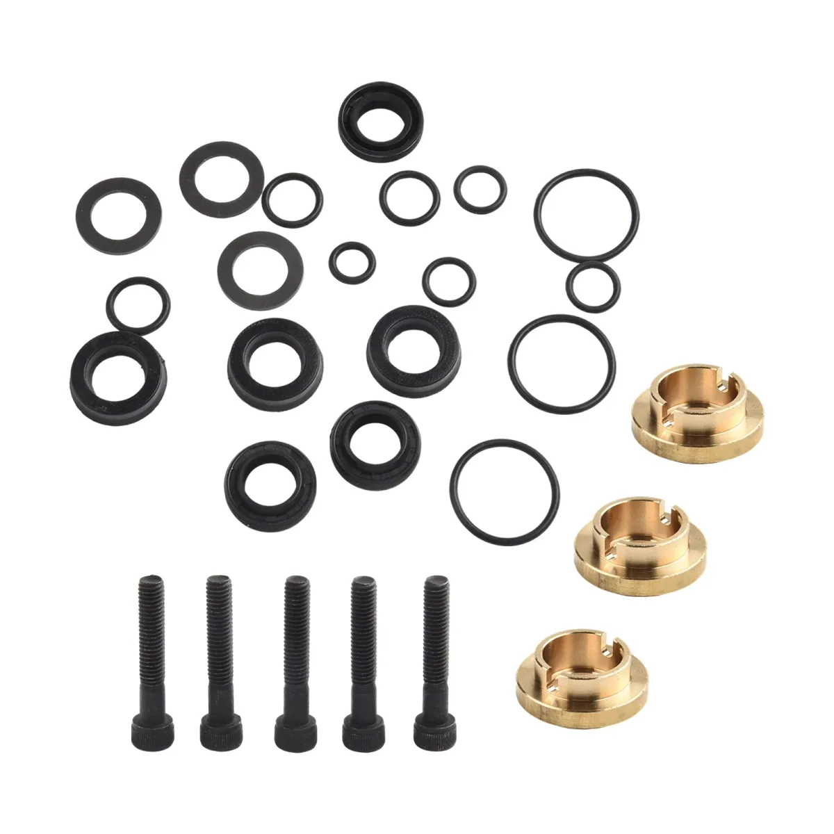 Assorted black rubber seals, O-rings, washers, screws and brass fittings laid out as a pump seal repair kit