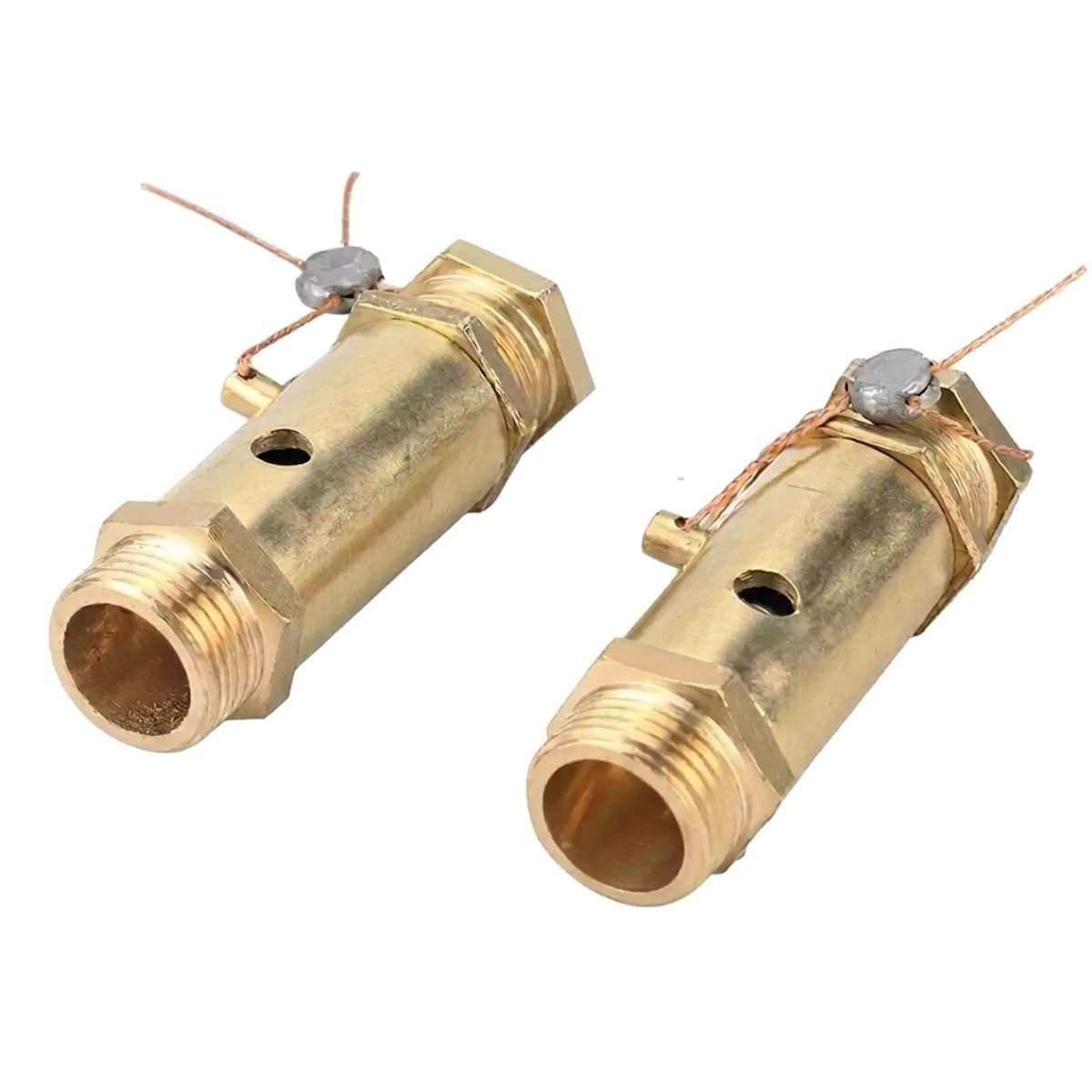 Double check valve: two identical brass components on a plain light background.